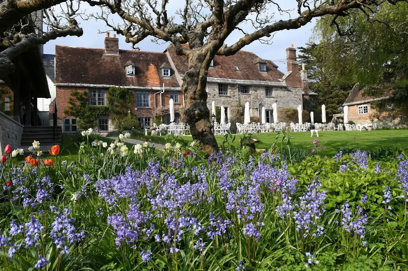 priory wareham gallery