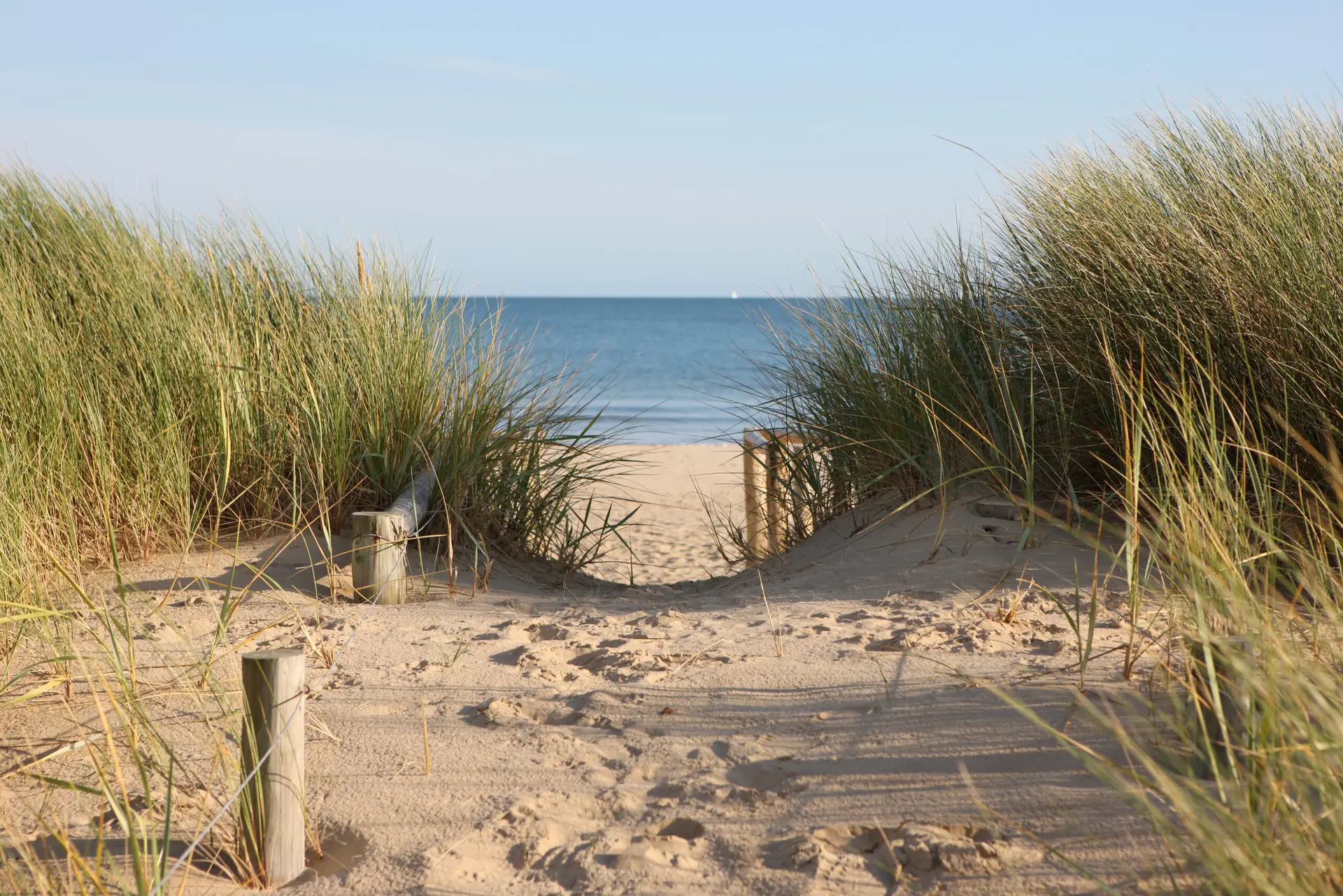 Sand dunes leading to sea